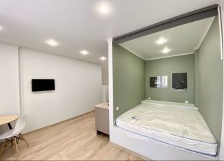 Продажа квартиры студии, 30 м2, Ростов-на-Дону, улица Герасименко, 17/5, ЖК Сердце Ростова