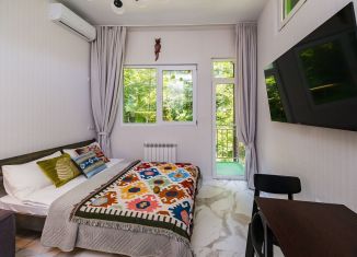 Сдача в аренду квартиры студии, 23 м2, Сочи, Вишнёвая улица, 36/1, микрорайон Заречный