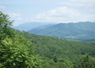 Земельный участок на продажу, 11.2 сот., Сочи, Чайная улица, 54