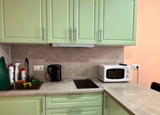 Сдается двухкомнатная квартира, 45 м2, Котельники, микрорайон Парковый, 1к7