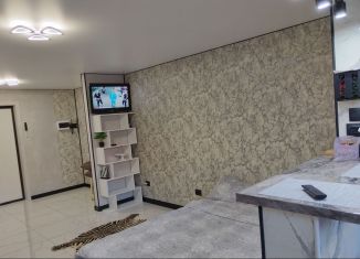 Сдается квартира студия, 27 м2, Тюмень, улица Новосёлов, 113