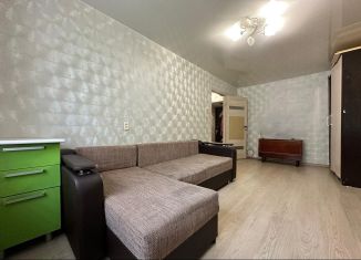 2-ком. квартира в аренду, 44.5 м2, Санкт-Петербург, проспект Энгельса, 96