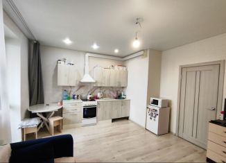 Продажа квартиры студии, 27 м2, Тюмень, Верхнетарманская улица, 5, ЖК Новый Мыс 2.0