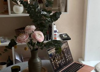 Аренда квартиры студии, 25 м2, Санкт-Петербург, Суворовский проспект