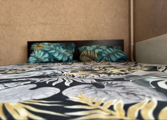 Сдам в аренду квартиру студию, 22 м2, Новосибирск, улица Виктора Уса, 9, Кировский район