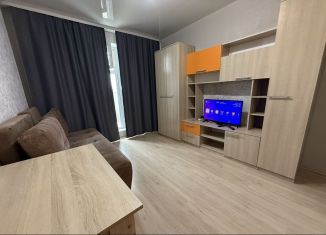 Сдаю квартиру студию, 20 м2, Новосибирск, улица Виктора Уса, 9, Кировский район
