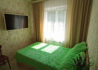 Аренда 2-комнатной квартиры, 42 м2, Тула, Новомосковская улица, Центральный территориальный округ