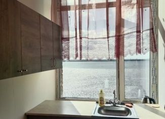 Квартира в аренду студия, 19 м2, Архангельская область, улица Революции, 4к1с3