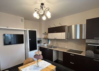 Сдаю однокомнатную квартиру, 44 м2, Санкт-Петербург, Морская набережная, 17к3