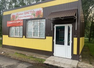 Продажа торговой площади, 58 м2, Новгородская область, деревня Ермолино, 29А