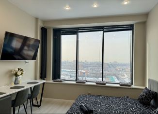 Сдаю в аренду квартиру студию, 27.3 м2, Республика Башкортостан, улица 50 лет СССР, 34