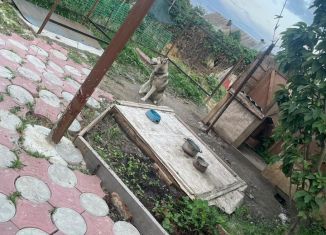 Продажа дома, 40.5 м2, Цимлянск, Морская улица, 31