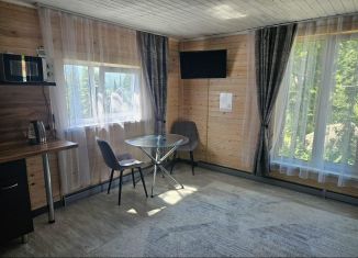 Сдается дом, 30 м2, поселок городского типа Шерегеш, Рябиновая улица, 29