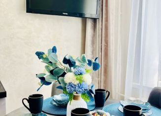 Аренда 1-ком. квартиры, 40 м2, Республика Башкортостан, улица Чапаева, 10