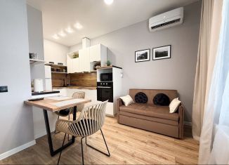 Сдача в аренду 1-ком. квартиры, 32.2 м2, Краснодар, Воронежская улица, 47/10, микрорайон Черемушки