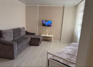 Сдается в аренду 1-ком. квартира, 43 м2, Казань, проспект Победы, 139к2