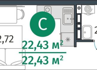 Продается квартира студия, 22.4 м2, деревня Дударева, улица Сергея Джанбровского, 27к1