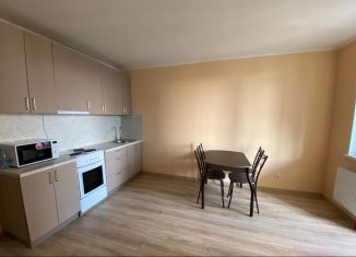 Сдаю в аренду квартиру студию, 30 м2, посёлок Парголово, Заречная улица, 11к6