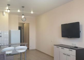 Сдача в аренду квартиры студии, 30 м2, Тула, проспект Ленина, 144, ЖК Зеленстрой-2