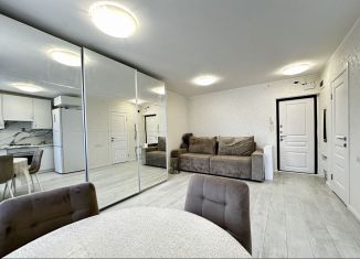 Продается квартира студия, 30 м2, поселок Верхнетемерницкий, улица Венеры, 24к10