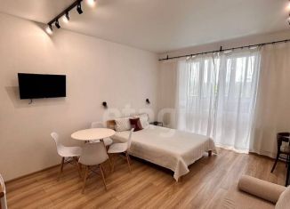 Продаю квартиру студию, 27.9 м2, Тюмень, 2-я Луговая улица, 22к1, Центральный округ