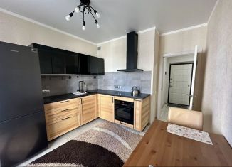 Сдам в аренду однокомнатную квартиру, 39 м2, Ростов-на-Дону, улица Ерёменко, 108с1, ЖК Пятый Элемент