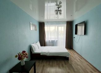 Сдается в аренду однокомнатная квартира, 31 м2, Прокопьевск, Институтская улица, 31