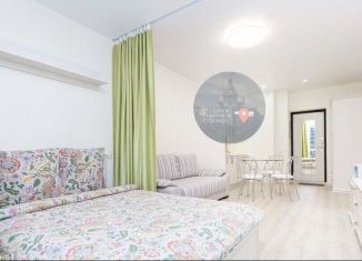 Продажа квартиры студии, 18.2 м2, Санкт-Петербург, Стрельнинская улица, 12, муниципальный округ Петровский
