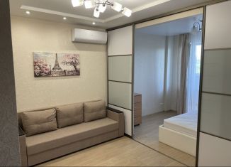 Аренда 1-комнатной квартиры, 51 м2, Самара, улица Тухачевского, 40А