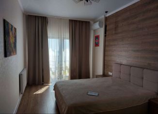 1-комнатная квартира в аренду, 45 м2, Краснодарский край, Одесская улица, 3Ак7