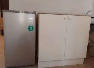 Квартира в аренду студия, 26 м2, Воронеж, Острогожская улица, 168С