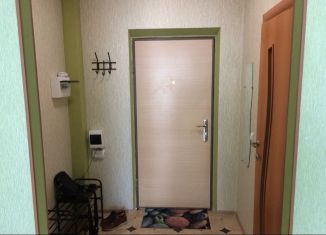 Квартира в аренду студия, 30 м2, Волгоград, улица Малиновского, 6А, Советский район