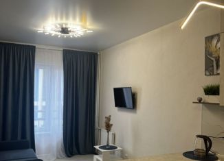 Сдается двухкомнатная квартира, 45 м2, Петрозаводск, улица Чапаева, 50