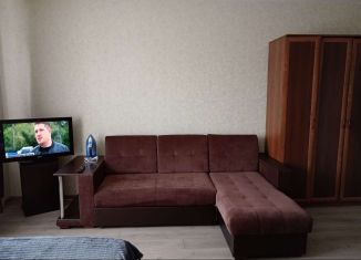 Квартира в аренду студия, 33 м2, Новосибирск, улица В. Высоцкого, Октябрьский район