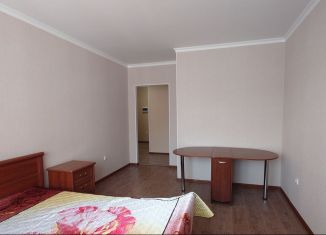 Сдается в аренду однокомнатная квартира, 47 м2, Рязань, Семчинская улица, ЖК Ломоносов