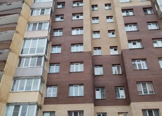 Сдача в аренду 1-ком. квартиры, 26 м2, Санкт-Петербург, Светлановский проспект, 60к3, муниципальный округ Прометей