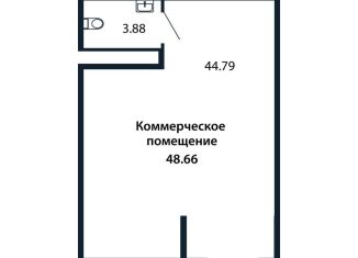 Продаю помещение свободного назначения, 48.65 м2, городской посёлок Новоселье