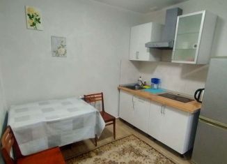 2-комнатная квартира в аренду, 32 м2, Казань