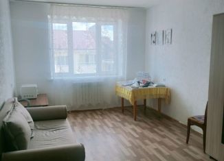 Продажа 2-комнатной квартиры, 49.8 м2, село Серафимовский, Комсомольская улица, 1