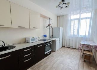 Сдается в аренду 1-ком. квартира, 50 м2, Красноярск, Ярыгинская набережная