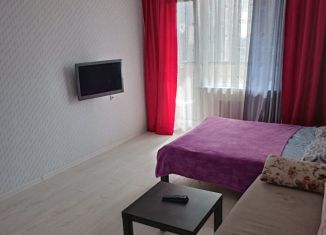 Сдается комната, 40 м2, Санкт-Петербург, улица Коллонтай, 5/1