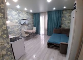 Квартира в аренду студия, 35 м2, Иркутск, Сибирская улица, 26