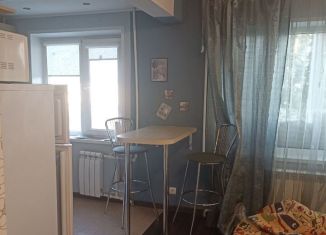 Сдам в аренду квартиру студию, 32 м2, Новомосковск, улица Маяковского, 2А