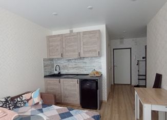 Продам квартиру студию, 20 м2, деревня Сапроново, ЖК Видный Берег 2, улица Западный квартал, 5к1