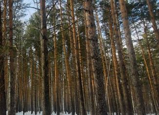 Участок на продажу, 295 сот., Екатеринбург, метро Площадь 1905 года, площадь 1905 года