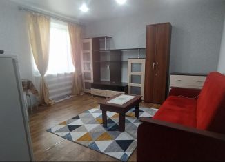 Квартира в аренду студия, 22 м2, Реж, Красноармейская улица, 23