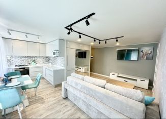 Аренда 2-ком. квартиры, 45 м2, Мурманск, улица Полярные Зори, 5