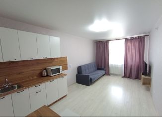 Продается квартира студия, 26 м2, Ростов-на-Дону, улица Теряева, 8