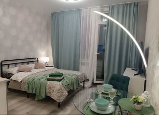 Сдается квартира студия, 23 м2, Кудрово, проспект Строителей, 16