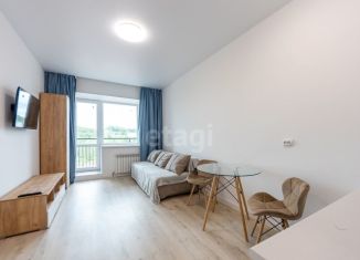 Сдается квартира студия, 22.1 м2, Хабаровск, Алексеевская улица